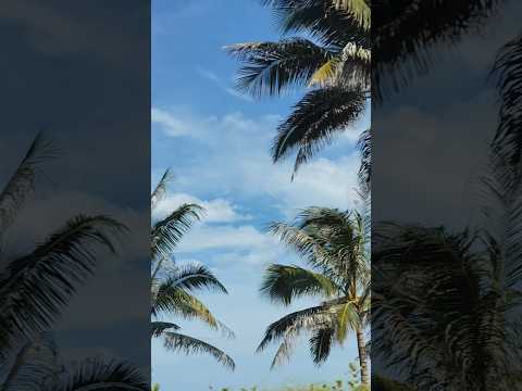 dáng đứng bến tre