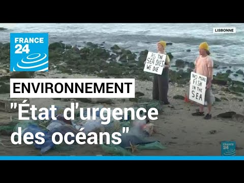 Environnement : l'ONU déclare un état d'urgence des océans lors d'un sommet à Lisbonne