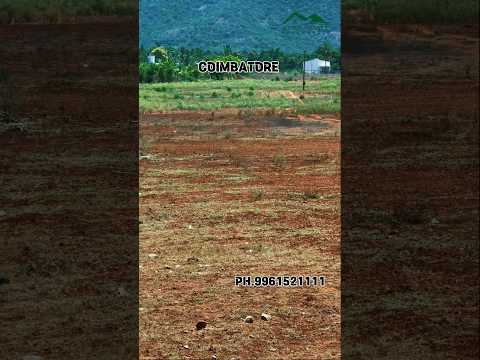 11 acre land for sale #coimbatore #landforsale #land #resort #tamilnadu #houseplots #travel #trend