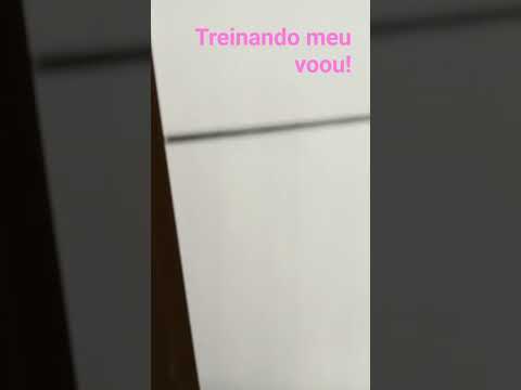 treinando meu voo!