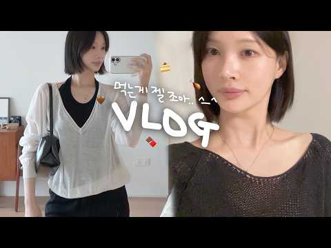 [vlog]먹는 낙에 산다..🥢(인생 순대국+낮술/최애 비빔밥/네버엔딩 쌍수 고민..ㅋ/대구🚅/햄니상봉 ㅠ/두찜 찜닭/행궁동 느좋/백숙+닭볶음탕/등갈비김치찜/스테이크/시바견 택이)