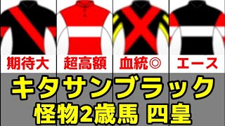 【POG2025-26】キタサンブラック産駒の怪物2歳馬四皇【チャリングクロス/デルフィニアⅡの23】