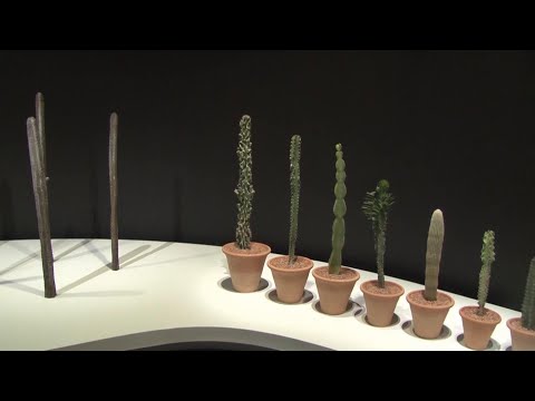 Yves Saint Laurent Museum Marrakech celebrates cacti and floral designs