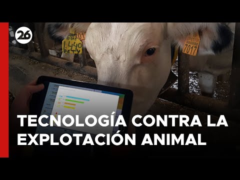 EEUU | Tecnología contra la explotación animal