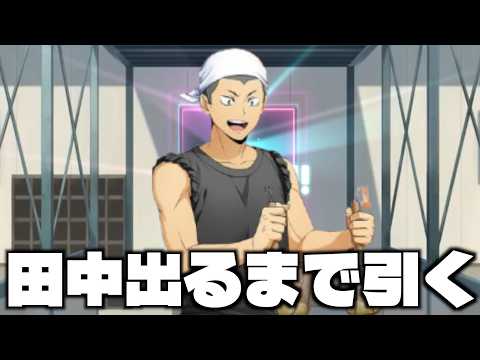 【ハイドリ】職業体験3の田中龍之介出てくれ‼️出るまで引く‼️【ハイキュー!!TOUCH THE DREAM】