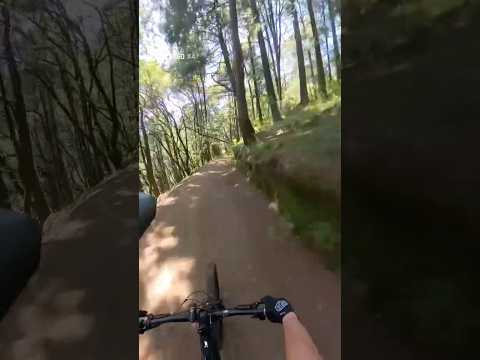 Specislized Kenevo Sl 2 Expert es más un robot que una E-BIKE 👌