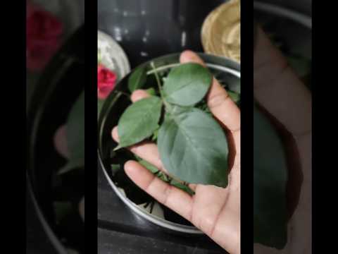 पहिल्या श्रावण सोमवारची पूजा नांदेडच्या ताईचा छोटासा ब्लॉग नक्की बघा#shorts#food#trendingreel#vayrl