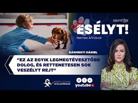 Segítség, bővül a falka! | ADJ ESÉLYT!
