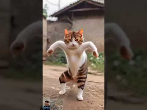 Cat funny dance😂😂 #cat #growupmyaccount #meaw#cute #fyp#trending #shorts