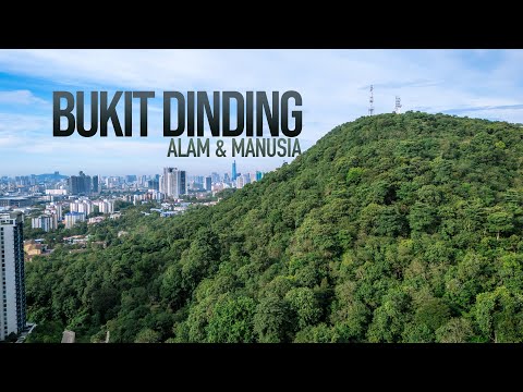 Bukit Dinding: Permata Kota di Hujung Tanduk