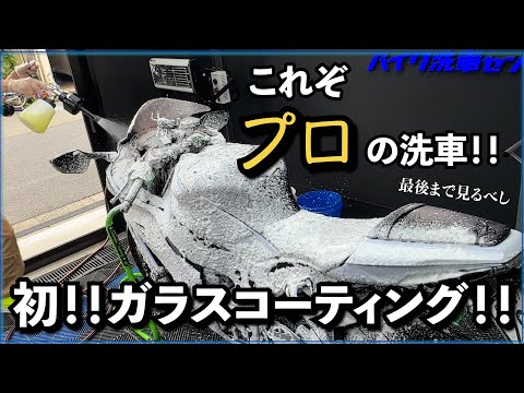 【洗車】まるで新車！！見違えるほど綺麗になったコーティング&洗車技術とは！？