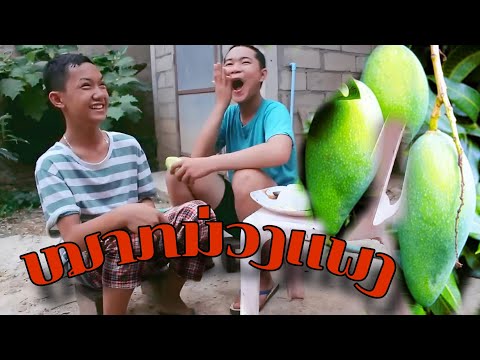 ບໍ່ໄດ້ຂີ້ຖີ່ກະໃຫ້ກິນຢູ່ເດ[บ่