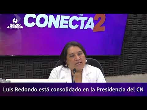 Suyapa Figueroa, señala que Luis Redondo está consolidado en la Presidencia del Congreso Nacional.