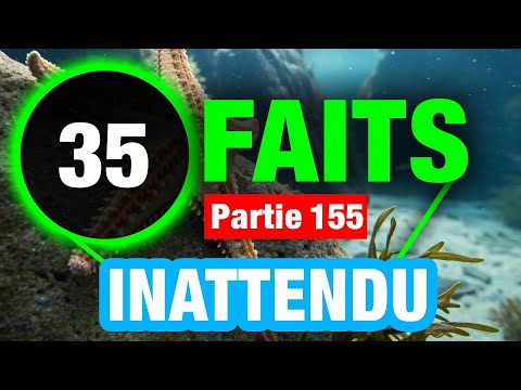 35 Faits Brillants Que Vous Ignoriez