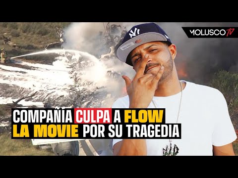 Flow La Movie fue el culpable del accidente, segun Helidosa. Molusco destruye la compañia