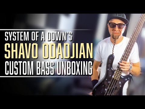 SYSTEM Of A DOWN's SHAVO ODADJIAN unboxes his brand new CUSTOM BASS! | Warwick Custom Shop