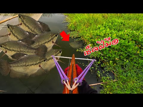 CROSSBOWFISHINGปลาใหญ่ใครก็ย