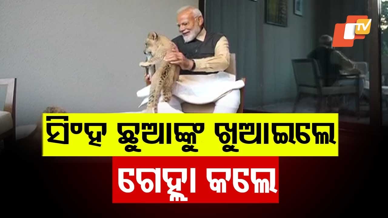 PM Modi Spends Quality Time with Wildlife at Vantara Rescue Center in Jamnagar, Gujarat