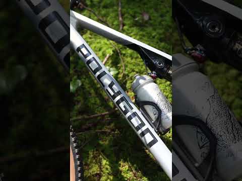 2026 Polygon Syncline DR 9 Review