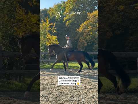 11. Reiterfehler: Schaukeln im Galopp- Ursache und Lösung zum sofort am Pferd üben!