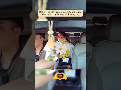 Một em bé cất tiếng khóc chào đời ngay trên xe taxi tại Quảng Ninh sáng nay