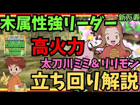 【デジモン】木属性強リーダー!新万寿を太刀川ミミ＆リリモン、泉光子郎＆アトラーカブテリモンで攻略　立ち回り解説　【パズドラ】