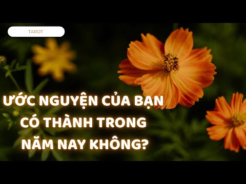 ƯỚC NGUYỆN CỦA BẠN CÓ THÀNH TRONG NĂM NAY KHÔNG?