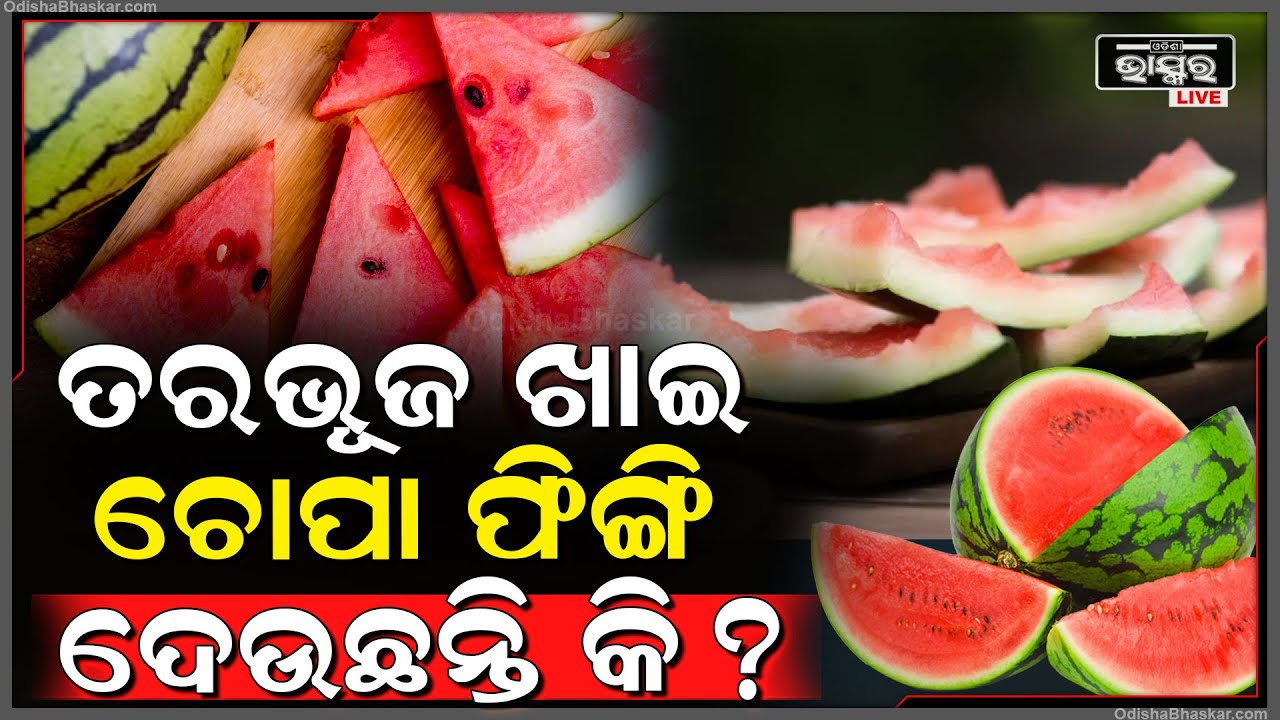 ତରଭୂଜ ଚୋପାରେ କରନ୍ତୁ ଏହି ଛୋଟିଆ କାମ । ପାଇବେ ଜବରଦସ୍ତ ଫଳ ! Benefits Of Watermelon..