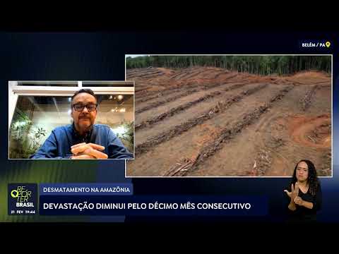 Entrevista: desmatamento na Amazônia diminui pelo décimo mês consecutivo
