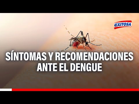 Dengue: Conoce los síntomas y recomendaciones para prevenir la enfermedad