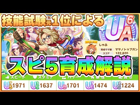 【ウマ娘】運ゲーだが土台作りが超大事！技能試験1位が無人島シナリオの超上振れスピ5育成について解説します！【無人島へようこそ -DESIGN YOUR ISLAND-／切り抜き】