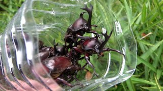 動画サムネイル