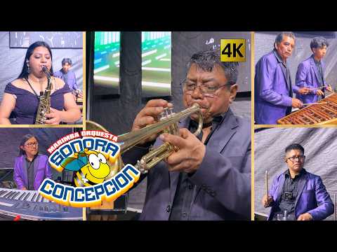 Marimba Orquesta Sonora Concepcion - Somos La Sonora Concepcion 4K