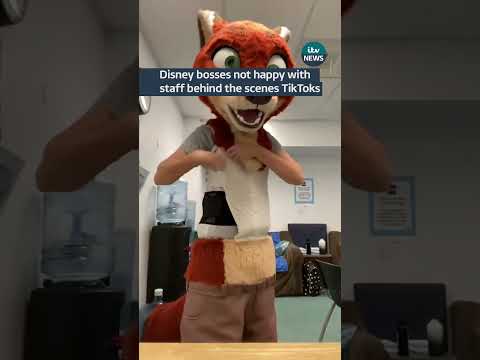 Disney bosses not happy with staff behind the scenes TikToks #disney #california #usa #tiktok