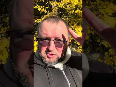 Царство любові без рівнин! #shorts #short #ісус #любов #життя #христианство #проповідь #віра #церква