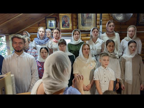🕊️ВЕЛИЧАННЯ БЕЗСРІБНИКАМ КОСМІ І ДАМІАНУ РИМСЬКИМ🕊️