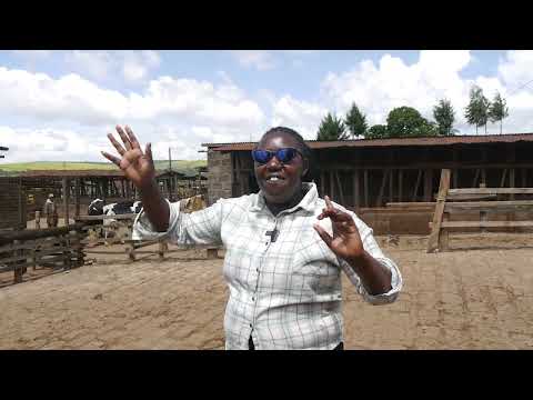 Olugendo lwe kenya ne mindset change part five