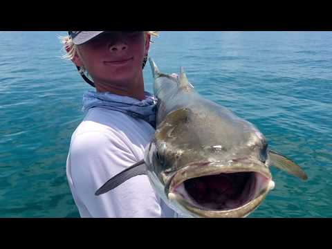 Cobia fishing in key west video thumbnail