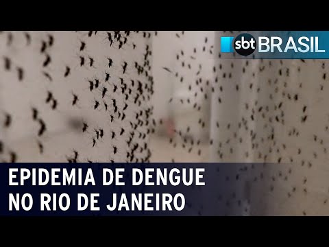 Rio de Janeiro bateu recorde de internações por dengue no mês de janeiro | SBT Brasil (02/02/24)
