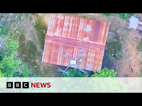 Thailand launches airstrikes on Cambodia after clashes on disputed border | BBC News