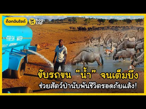 ขับรถขน-“น้ำ”-จนเต็มบึง-ช่วยสั ขับรถขน-“น้ำ”-จนเต็มบึง-ช่วยสั