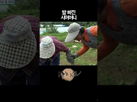 <strong>발</strong> 빠진 시어머니