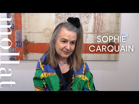 Vido de Sophie Carquain