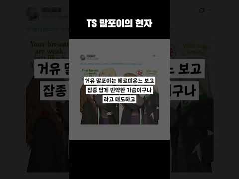 글로벌이 환호한 TS <strong>말포이</strong> 가슴에 대한 어느 대한민국 현자의 답