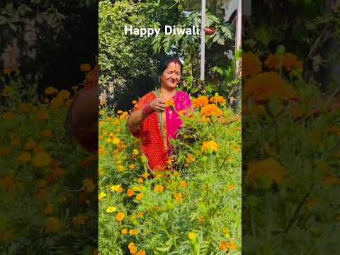 Happy Diwali devotionalsong #bhajan2025 #bhaktisong #navratribhajan #devotionalbhajan #devibhajan