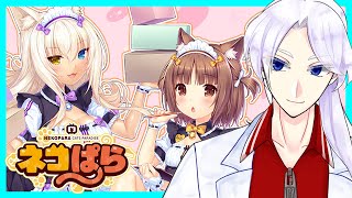 【ネコぱら vol.2】疲れた心にネコが効くんじゃぁ  02