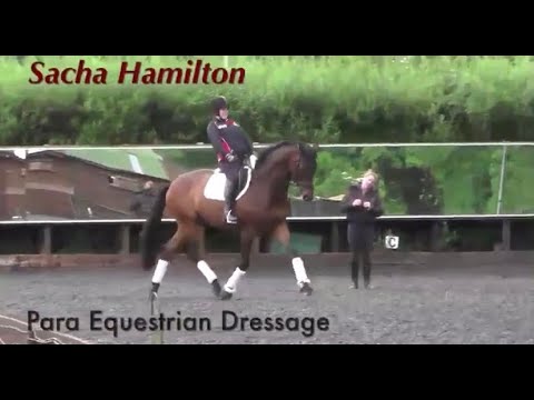 Sacha Hamilton on Training Para Dressage