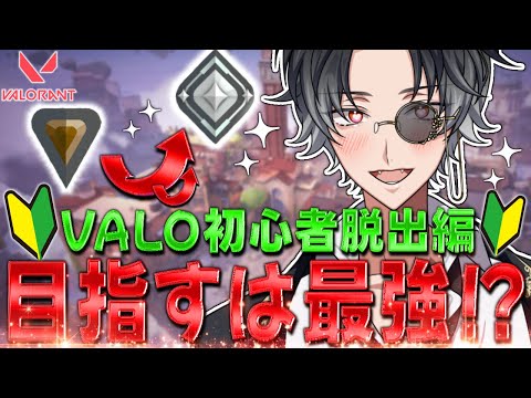 【#VALORANT】新たな武器スキンで無双する🔥初心者脱出するぞ❗️【#新人Vtuber 】