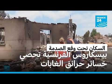 بيسكاروس تحصي خسائرها جراء حرائق الغابات.. والسكان تحت وقع الصدمة