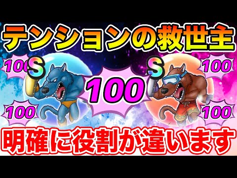 【ドラクエウォーク】明確に役割が違う2つのこころ!! 必ず確保して下さい!!【DQW】のサムネイル
